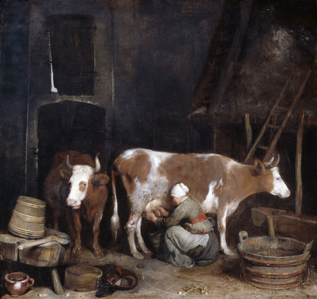 Gerard ter Borch's painting: A Maid Milking a Cow in a Barn